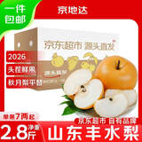 京地达山东丰水梨净重2.8斤大果350g+京东自营新鲜纯甜梨子源头直发包邮