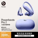 beats Powerbeats Pro 2 完全无线高性能耳机 【开学礼物】真无线运动耳机 适用苹果安卓耳机  跃动紫