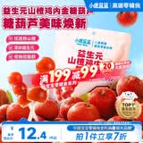 小鹿蓝蓝 益生元山楂棒棒糖鸡内金糖葫芦 儿童宝宝零食葫芦山楂棒棒 95g