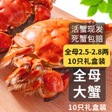 【活蟹】乾澄大闸蟹现货 全母蟹2.5-2.8两 10只 去绳足重 鲜活螃蟹海鲜礼盒源头直发