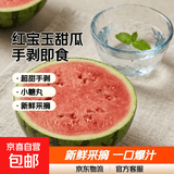 正宗2k超甜手剥小糖丸小西瓜新鲜采摘应季新鲜采摘西瓜水果 净重4-6斤（1-2个瓜）