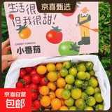 京喜加宁夏三色小番茄圣女果新鲜现摘小柿子青口蜜千禧果彩色小番茄 4斤带箱 3.8斤 净重 多彩小番茄三色随心拼