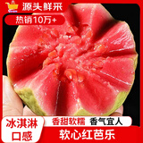 晓甜红心软芭乐新鲜水果番石榴应季低糖孕妇生鲜礼品单果130g源头直发 广东红心芭乐净重4.5斤（推荐）