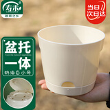 寿禾 花盆带托盘家庭园艺种菜养花盆栽工具 潍育奶油白花盆小号12.5#