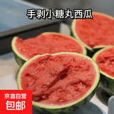 正宗2k超甜手剥小糖丸小西瓜新鲜采摘应季新鲜采摘西瓜水果 净重3-4斤（1-2个瓜）