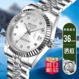 豪伦诗（HOLUNS）Holuns男士全自动机械手表透底商务男 R103银面精钢单历