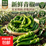 本地正宗青椒尖椒爆辣十足家用炒菜剁椒 新鲜尖椒4斤