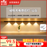 雷士（NVC）波纹猫眼感应灯带自粘橱柜灯磁吸入户玄关充电LED氛围灯黑色80cm