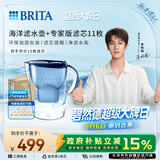 碧然德（BRITA）过滤净水器 家用滤水壶 净水壶 海洋系列 去水垢专家版滤芯11枚 环保加固包装