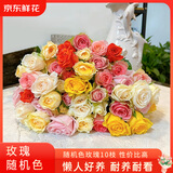 京东鲜花随机玫瑰鲜切花盲盒云南基地直发办公室水养插花10枝源头直发