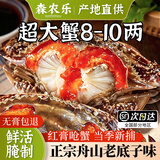 呛蟹舟山红膏蟹梭子蟹酱母蟹宁波炝蟹咸蟹生腌螃蟹海鲜醉蟹 单只3-4两净重【2只 自吃经济款】