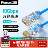 泛达 泛达超六类细网线CAT6A类跳线家用电脑宽带POE监控万兆高速成品线 经典蓝 30米