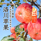 东方甄选洛川苹果脆甜多汁富士苹果新鲜水果坏果包赔 4斤-8.5装 4斤 （特小果 150g+ 11-14个）
