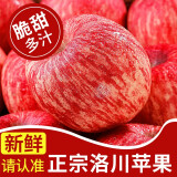 堡鲜生陕西洛川红富士苹果脆甜多汁时令新鲜孕妇水果生鲜苹果整箱 75-80mm带箱10斤（净重8.8斤）