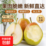 京喜加国产红香酥梨果肉脆嫩2026新梨水果生鲜香梨 山西红香酥5斤装（单果100g+）净重4.5斤