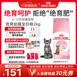 皇家猫粮 绝育幼猫粮 KS34 通用粮 6-12月 2KG