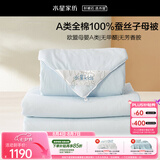 水星家纺蚕丝被100%蚕丝子母被子冬被冬季加厚被芯约8.8斤200cm×230cm