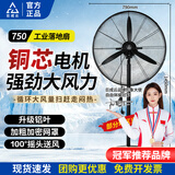 巨成云 工业风扇摇头电扇落地扇 大功率工厂风扇 750mm落地扇（铝叶） 一台价