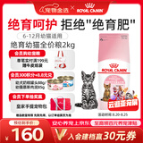皇家猫粮 绝育幼猫粮 KS34 通用粮 6-12月 2KG