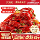 天海藏麻辣小龙虾1.5kg 2026年新虾3-5钱小龙虾整虾加热即食海鲜烧烤