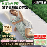 乐瓜睡觉抱枕夏季女生夹腿凉感抱枕长条靠枕床上靠垫等身靠背垫可拆洗 加大号四季款（婴儿棉） 快乐恐龙