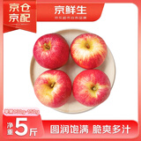 京鲜生 【新果】云南昭通丑苹果 净重4斤装 单果130g-150g 生鲜水果