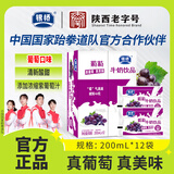 银桥酸甜葡萄牛奶饮品200ml*12袋装喝的含乳饮料陕西老字号正品 12袋装