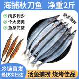 纯色本味 冷冻精品秋刀鱼净重2斤 烧烤食材纯鱼肉