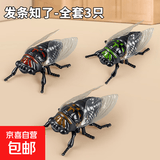 仿真爬行动物新款上链发条知了发条玩具昆虫创意玩具夏蝉金蝉模型 红色知了+绿色知了+褐色知了