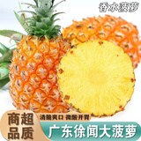 南步广东徐闻大菠萝 湛江特产香水大菠萝十七号菠萝新鲜热带水果整箱 9斤精选大果【3-5个】