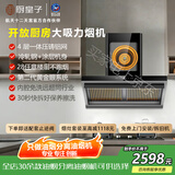 厨皇子A2不锈钢黄金眼免清洗油烟机四层油烟分离 家用大吸力侧吸式 开放厨房大吸力烟机 A2喷涂/四层滤网 含安装新机