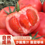密之蓝天现摘现发 密云农家种植西红柿生吃4斤装水果沙瓤番茄新鲜蔬菜生鲜 2000克