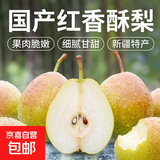 京喜加国产红香酥梨果肉脆嫩2026新梨水果生鲜香梨 带箱2斤净重1.7斤左右（单果100g+）