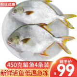 沃鲜汇 鱼 金鲳鱼 400-450g/条 冰鲜鲳鱼 生鲜鱼类 薄冰衣 4条装金鲳鱼 常规装400g/1条 (市场高品质)