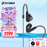 森海塞尔（Sennheiser）IE900/IE600/IE300旗舰级HIFI高保真超宽单动圈单元可拆卸MMCX挂耳式耳机 高保真发烧有线耳机耳塞 IE300 【进阶HIFI高保真】