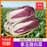紫罗兰紫色大白菜紫白菜花青素紫包心菜山东直发凉拌沙拉生吃生鲜 【精品甄选】5斤净重