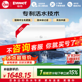 瑞美（Rheem）EVERHOT【D11系列】50升电热水器京东自营上门安装自清洁一级能效3.3kW速热 国家补贴 CSFH050-D11