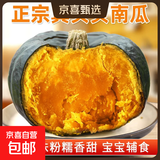 京喜加百万复购贝贝南瓜板栗味小南瓜正宗新鲜粉糯香甜单果100g起 贝贝南瓜 300g ±20g 小果