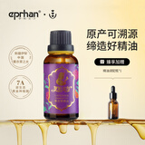 伊帕尔汗薰衣草精油单方精油香薰按摩油身体植物精油精华油  品牌20周年庆 薰衣草精油30ml 单方