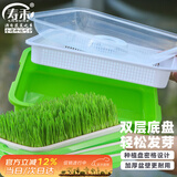 寿禾 芽苗菜盘带盖保温无土栽培水培种植盘 保温育苗盘*1