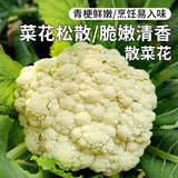 密农人家安心优选新鲜农家散菜花500g 菜花 脆嫩花菜 每日现采花椰菜 蔬菜
