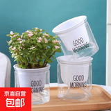 水培透明懒人自动吸水早安盆绿萝北欧简约吊兰绿植多肉花厂家直销 100#外径11*高10cm 透明款带LOGO+定植篮+棉绳