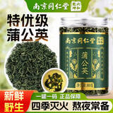 南京同仁堂蒲公英叶茶长白山野生特级蒲公英叶根茶炒制散婆婆丁节养生茶80g