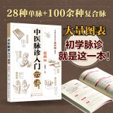 零基础学中医：中医脉诊入门六讲（图解版）28种单脉+100余种复合脉 图表结合更易学习