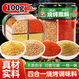 川珍四合一烧烤撒料100g【配料干净】烧烤料孜然芝麻盐辣椒五香粉组合