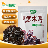 十月稻田 东北黑木耳 500g 菌菇  黑龙江东宁特产 肉厚无根 火锅煲汤炒菜