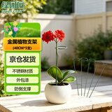 绿园匠植物防倒伏支架绣球吊兰金属支撑杆园艺固定架爬藤月季花卉花架