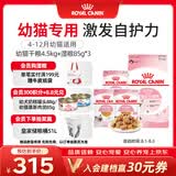 皇家猫粮 幼猫猫粮 干湿搭配 K36 4.5kg+啫喱肉冻KJP 85G*3