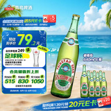 青岛啤酒（TsingTao）经典老青岛百年工艺大容量640ml*6瓶 整箱装