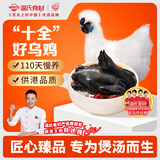 温氏供港白凤乌鸡2斤 冷冻食材 土鸡农家散养 110天以上 十全乌骨鸡